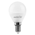 LED-Lampe G45 E14/7W/230V 4000K