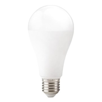 LED-Lampe GS E27/22W/230V 4000K