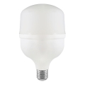 LED-Lampe T100 E27/30W/230V 6500K
