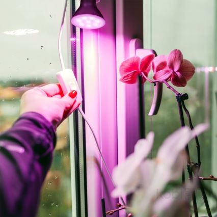 LED-Leuchtmittel für die Pflanzenzucht PLANTY E27/7W/230V 1200K schwarz