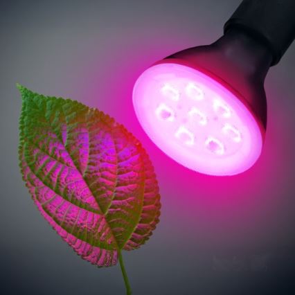 LED-Leuchtmittel für die Pflanzenzucht PLANTY E27/7W/230V 1200K schwarz