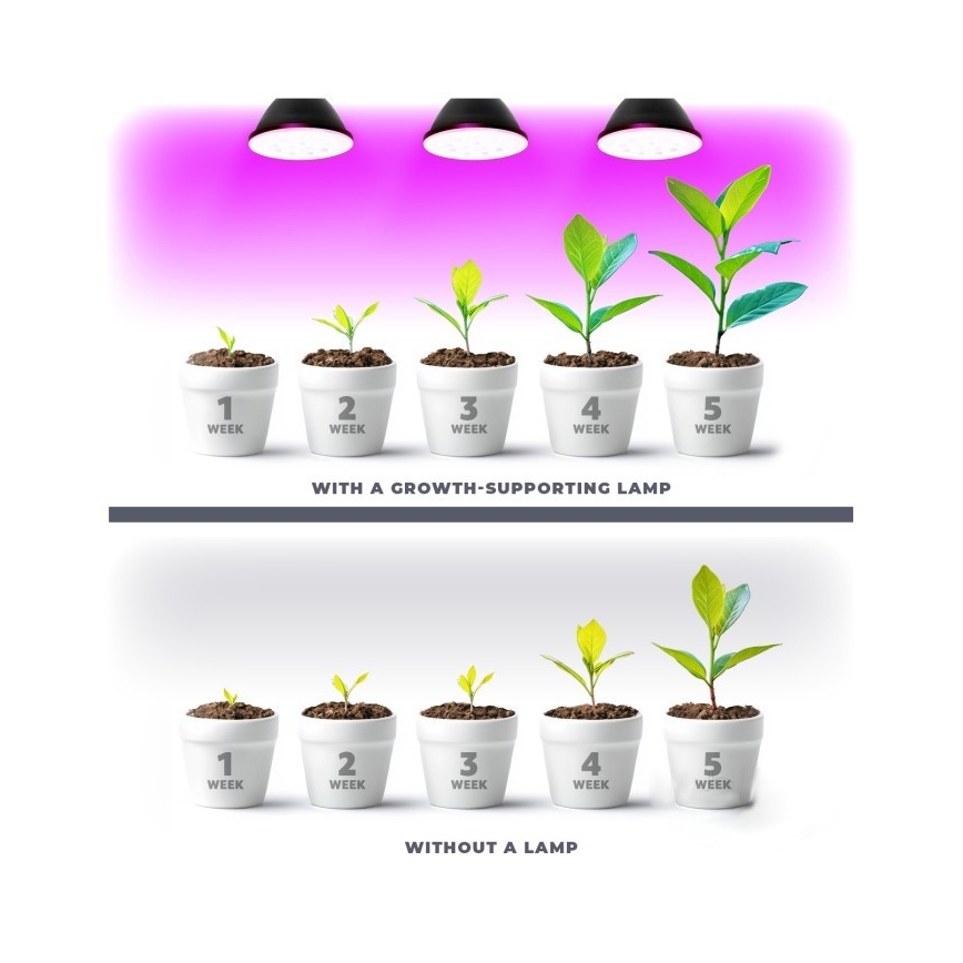 LED-Leuchtmittel für die Pflanzenzucht PLANTY E27/7W/230V 1200K schwarz
