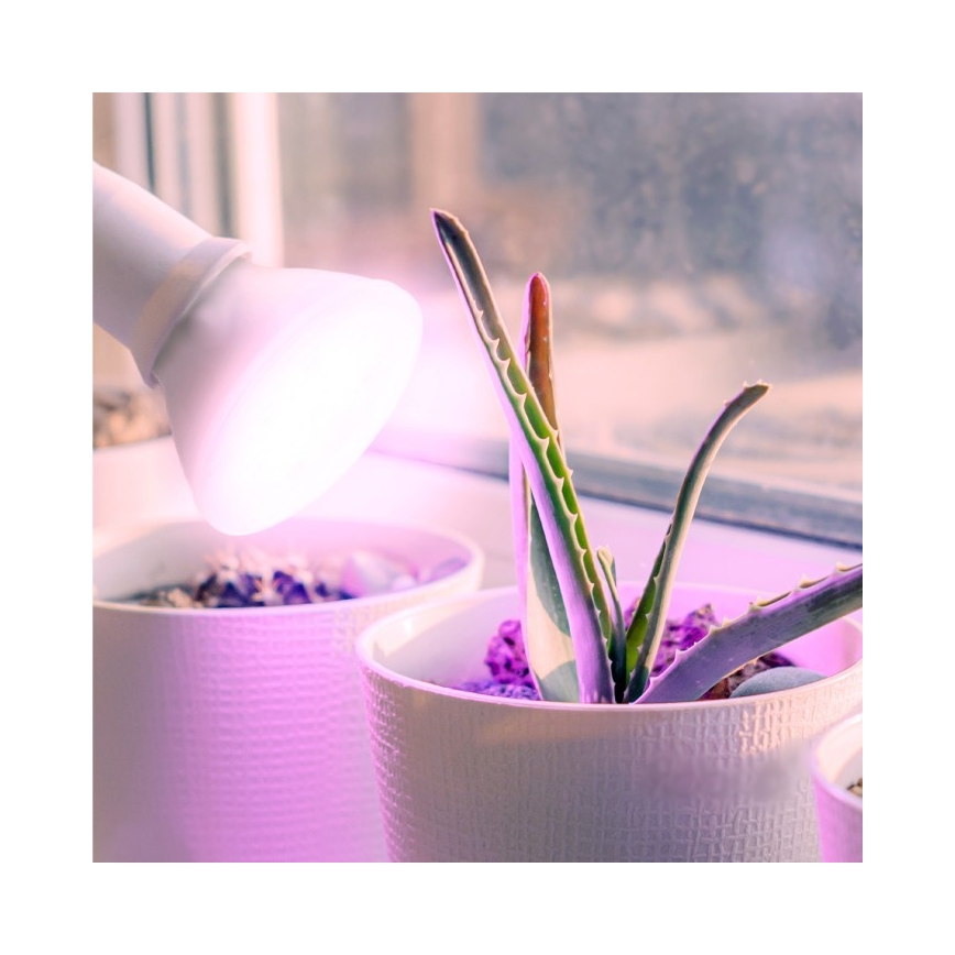 LED-Leuchtmittel für die Pflanzenzucht PLANTY E27/7W/230V 1200K weiß