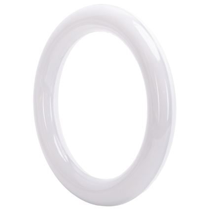 LED Leuchtstoffröhre G10q/14W/230V 6500K - Aigostar