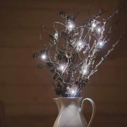 LED  Lichterkette 20xLED/2xAA 2,4m kaltweiß