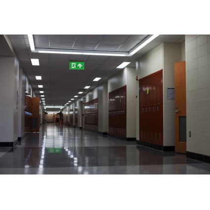LED Luce di emergenza LED/4,5W/230V 6500K
