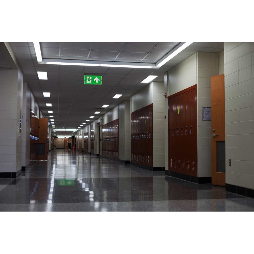 LED Luce di emergenza LED/4,5W/230V 6500K