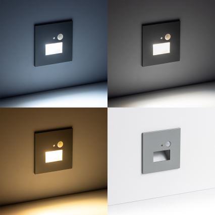 LED Luce per scale con sensore di movimento LED/1,5W/230V 3000K/4000K/6500K