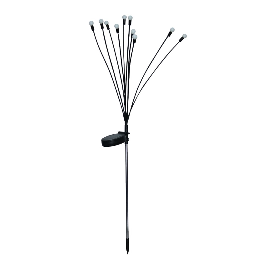 LED Luce solare decorativa 10xLED/1,2V 3000K 73 cm IP44