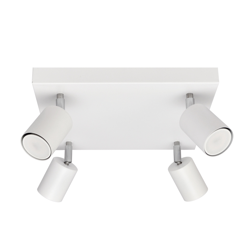 LED Luce Spot a LED TUNE 4xGU10/4,8W/230V bianco