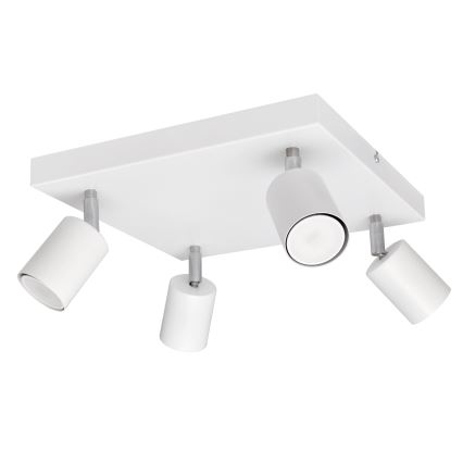 LED Luce Spot a LED TUNE 4xGU10/4,8W/230V bianco