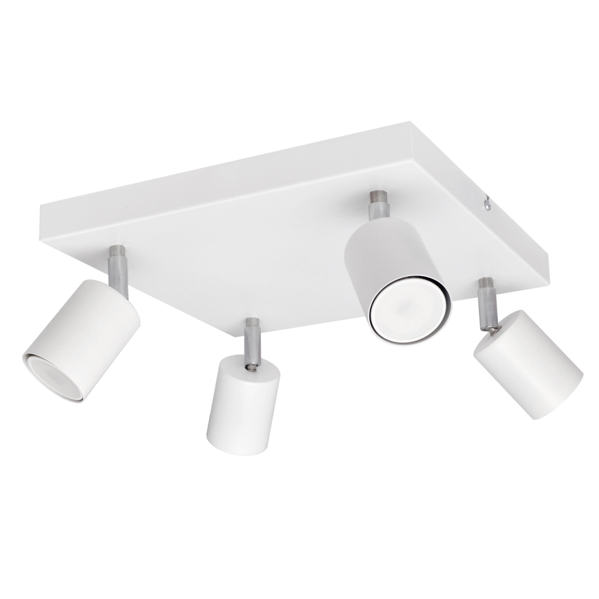 LED Luce Spot a LED TUNE 4xGU10/4,8W/230V bianco