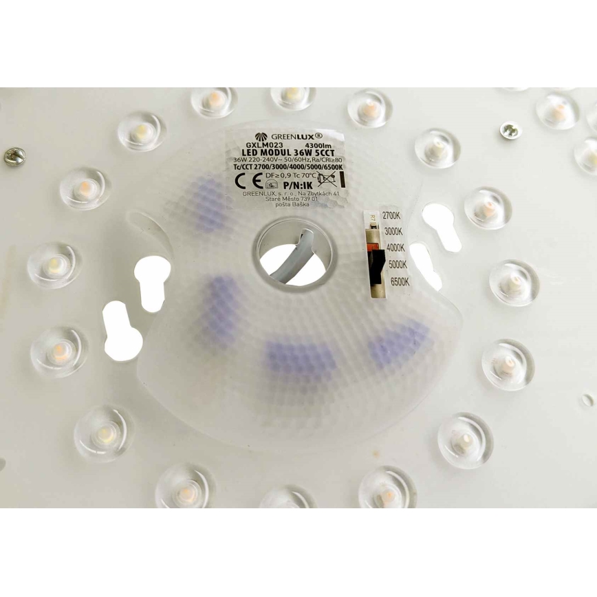 LED-Magnetmodul LED/36W/230V Durchmesser 24 cm 2700/3000/4000/5000/6500K