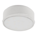 LED Modulo dimmerabile LED/12W/230V 3000K - Eglo 78778