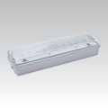 LED-Notleuchte CARLA LED/5,51W/230V 1h/900 mAh IP65