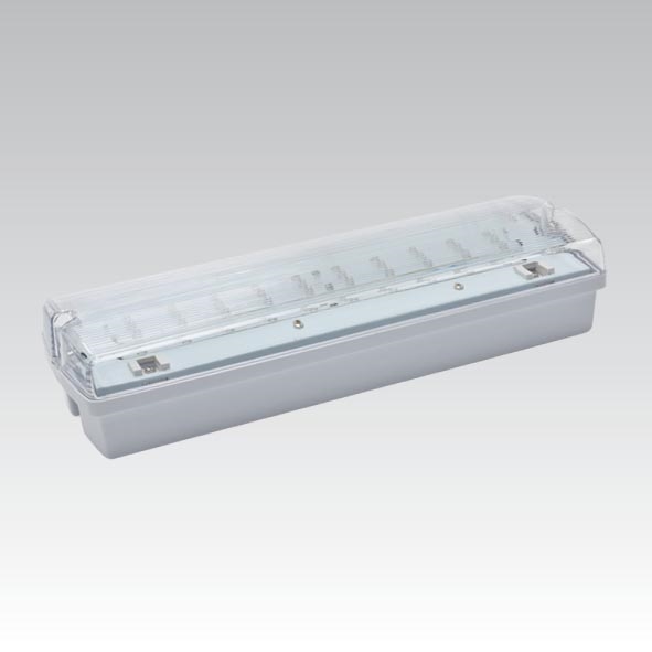 LED-Notleuchte CARLA LED/5,51W/230V 1h/900 mAh IP65