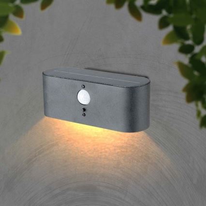 LED-Outdoor-Solarwandleuchte mit Sensor LED/2,5W/3,7V 3000K IP54 2000 mAh