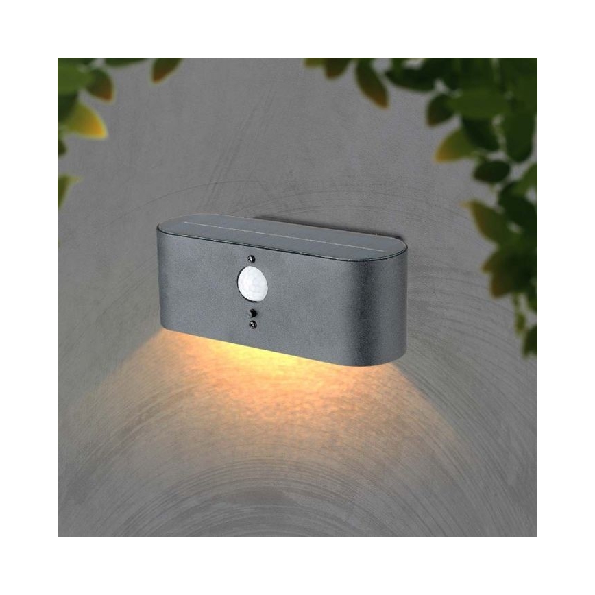 LED-Outdoor-Solarwandleuchte mit Sensor LED/2,5W/3,7V 3000K IP54 2000 mAh