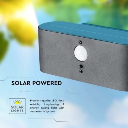 LED-Outdoor-Solarwandleuchte mit Sensor LED/2,5W/3,7V 3000K IP54 2000 mAh