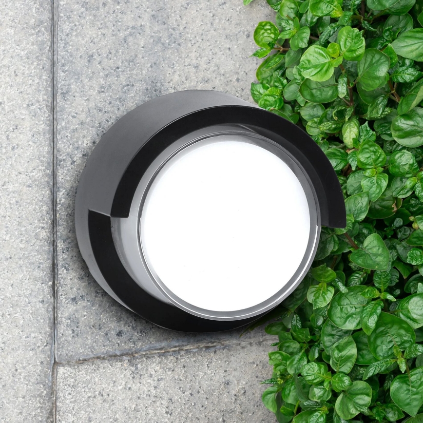 LED-Outdoor-Wandleuchte ESSEN LED/10W/230V IP44 schwarz