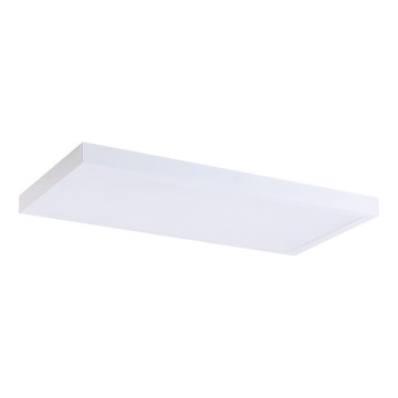 LED-Panel LED/36W/230V 4000K 30x60 cm weiß