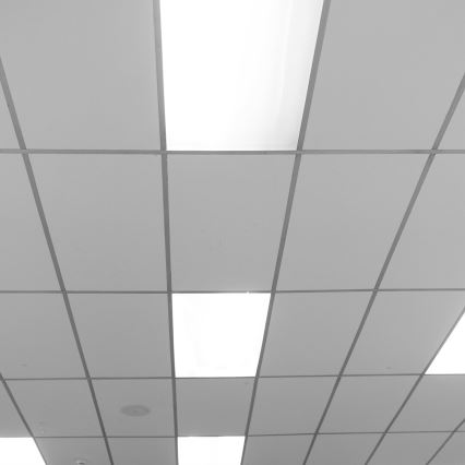 LED-Panel LED/48W/230V 4000K 120x30 cm