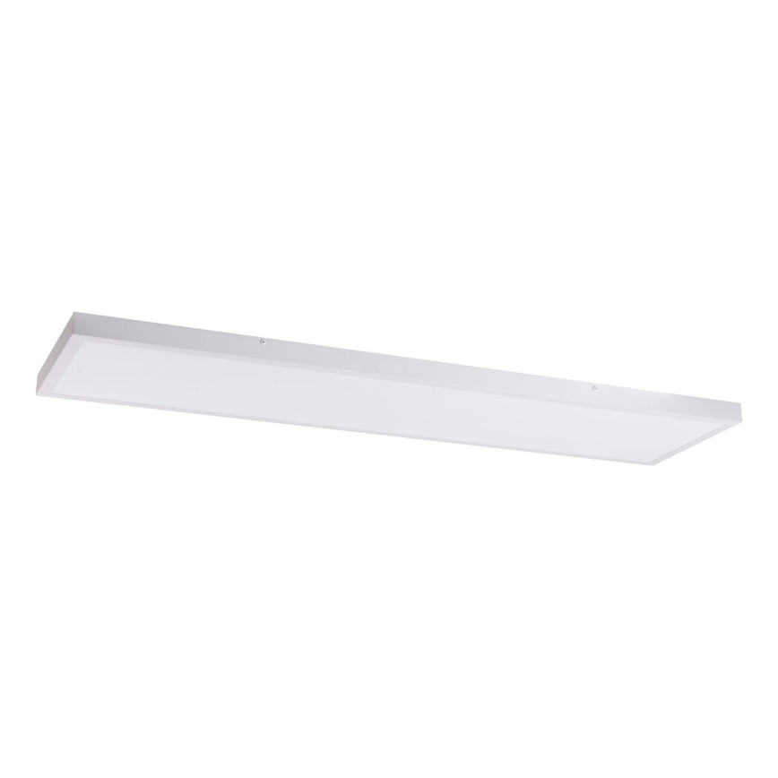 LED-Panel LED/60W/230V 4000K 30x120 cm weiß