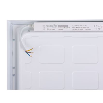 LED-Panel LED/60W/230V 4000K 30x120 cm weiß
