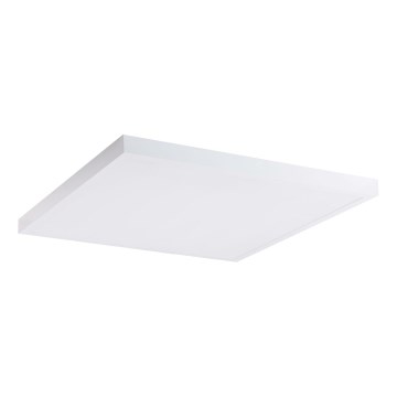 LED-Panel LED/60W/230V 4000K 60x60 cm weiß