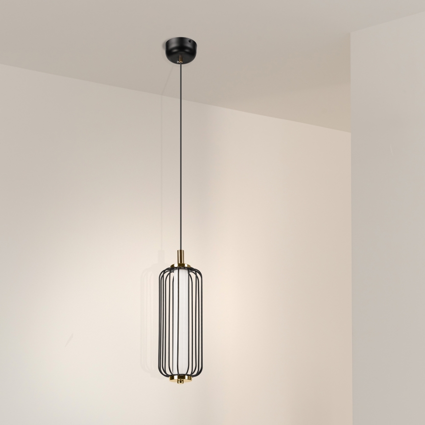 LED Pendelleuchte an Kabel BONNIE LED/15W/230V 3000K schwarz