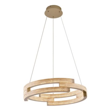 LED-Pendelleuchte an Kabel TARJA LED/36W/230V 3000/4000/6000K Ø 60 cm goldfarben