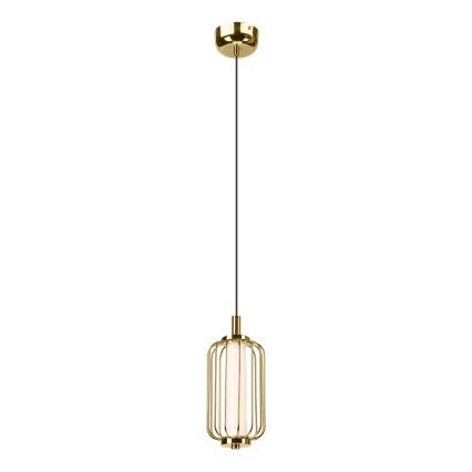 LED-Pendelleuchte an Stahlseil BONNIE LED/10W/230V 3000K goldfarben