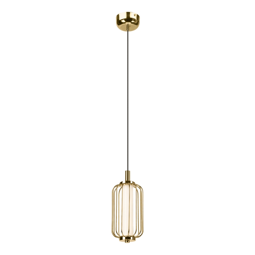 LED-Pendelleuchte an Stahlseil BONNIE LED/10W/230V 3000K goldfarben