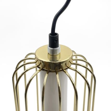 LED-Pendelleuchte an Stahlseil BONNIE LED/10W/230V 3000K goldfarben