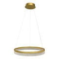 LED-Pendelleuchte an Stahlseil GALA LED/25W/230V Ø 50 cm Gold