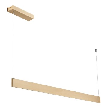 LED-Pendelleuchte an Stahlseil LINEA LED/36W/230V 3000/4000/5700K CRI 90 goldfarben