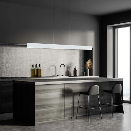 LED-Pendelleuchte BERNADETTA mit Drahtseilaufhängung LED/20W/230V 4000K weiß