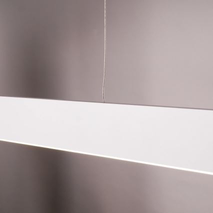 LED-Pendelleuchte BERNADETTA mit Drahtseilaufhängung LED/20W/230V 4000K weiß