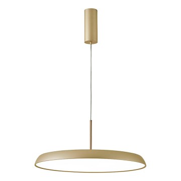 LED-Pendelleuchte mit Seilabhängung ART LED/41W/230V, goldfarben