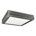 LED Plafoniera FENIX LED/24W/230V 2800K 29,8 cm