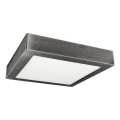LED Plafoniera FENIX LED/24W/230V 3800K 29,8 cm