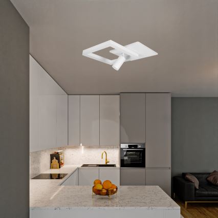 LED Plafoniera LED/38W/230V + 1xGU10/30W bianca