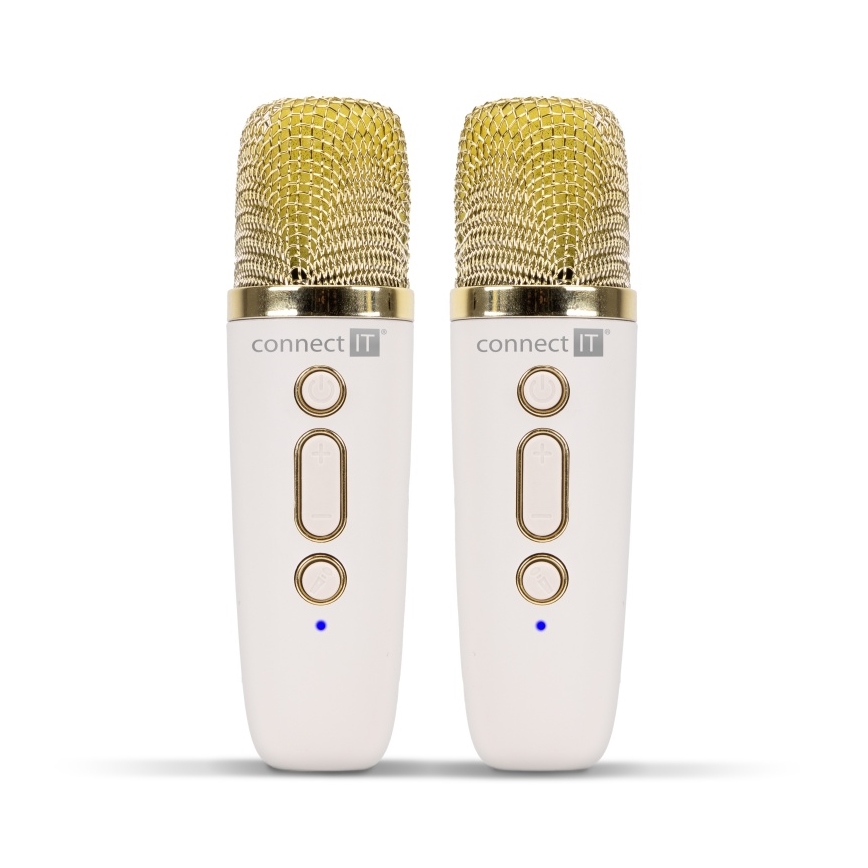 CONNECT IT CSP-1010-BG - LED RGB-Lautsprecher mit 2 kabellosen Mikrofonen, 5W/1200 mAh + 2x 400 mAh, creme/gold