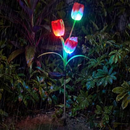 LED RGB Luminaire décoratif solaire 3xLED/3,7V 200 mAh IP44 tulipe