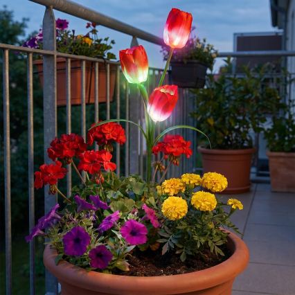 LED RGB Luminaire décoratif solaire 3xLED/3,7V 200 mAh IP44 tulipe