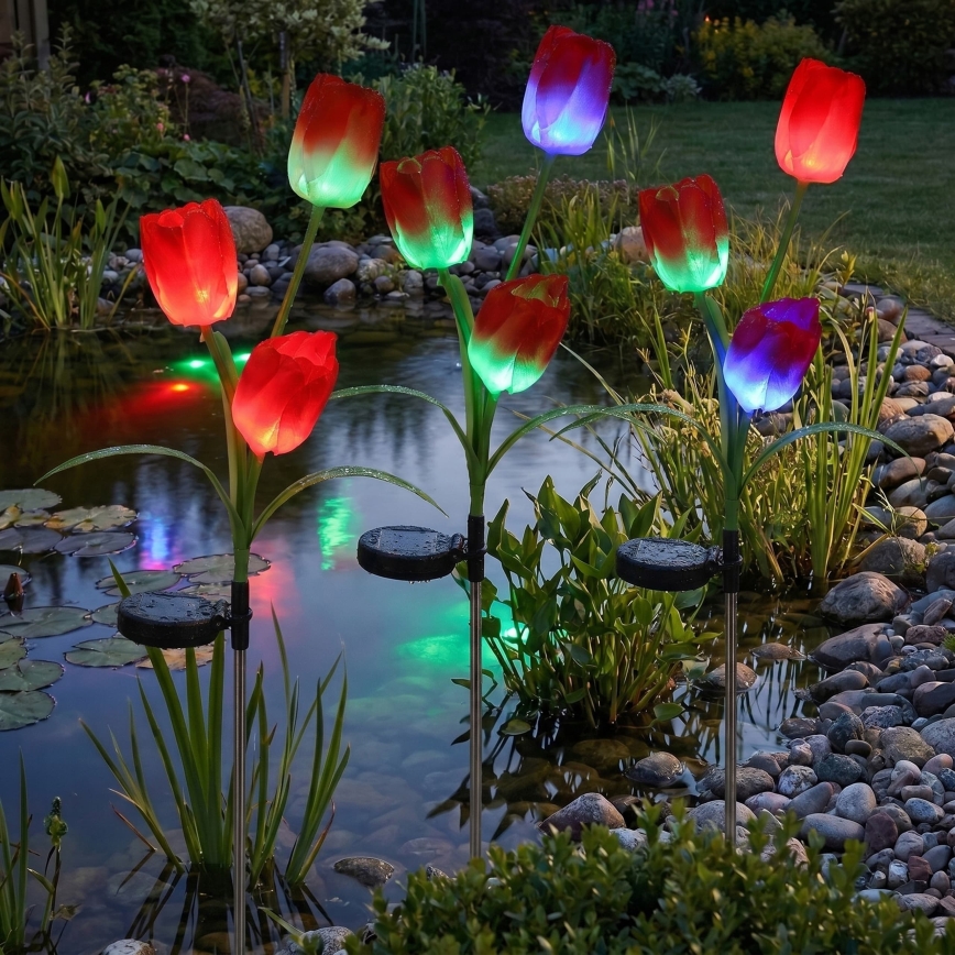 LED RGB Luminaire décoratif solaire 3xLED/3,7V 200 mAh IP44 tulipe