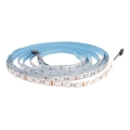 LED RGB Striscia DAISY 5m
