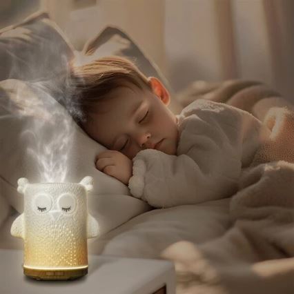 LED RGBW Diffusore di aromi LED/8W/230V 100 ml gufo