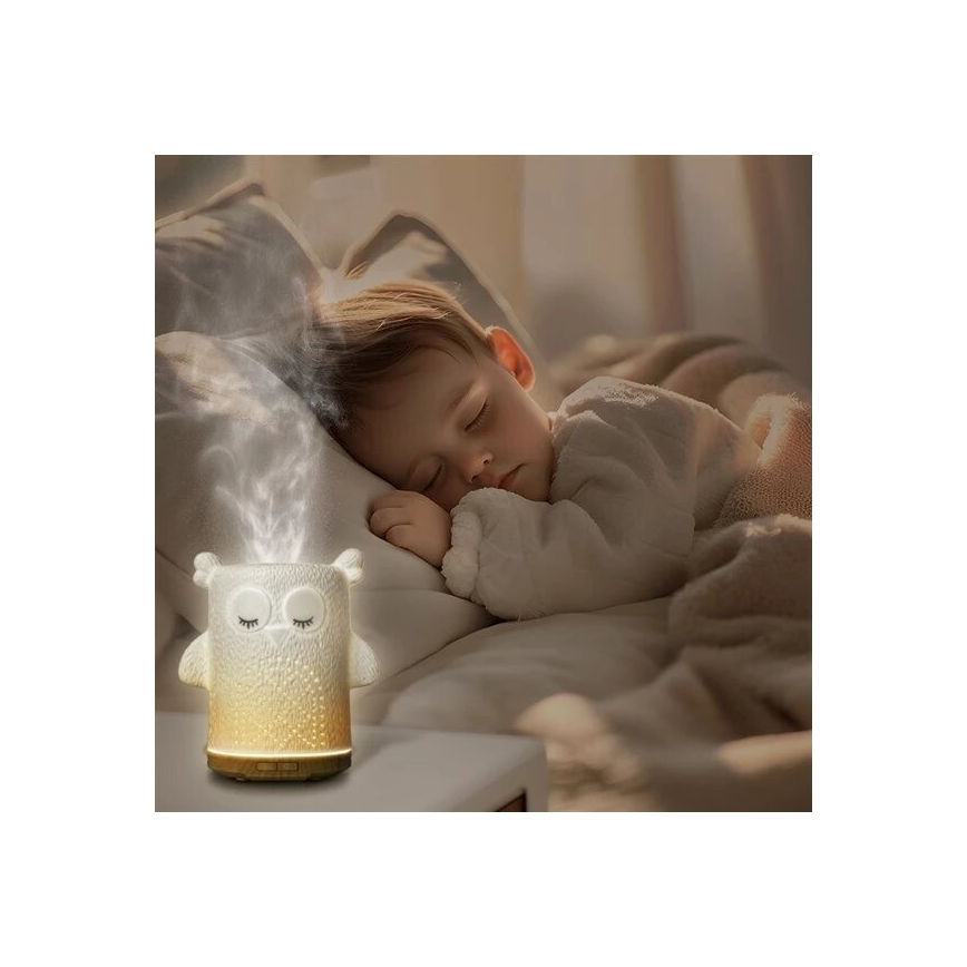 LED RGBW Diffusore di aromi LED/8W/230V 100 ml gufo