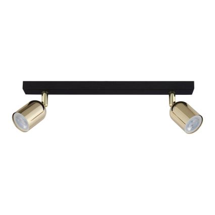 LED RGBW Dimmbarer Deckenspot TOP 2xGU10/6,5W/230V 2700-6500K schwarz/gold